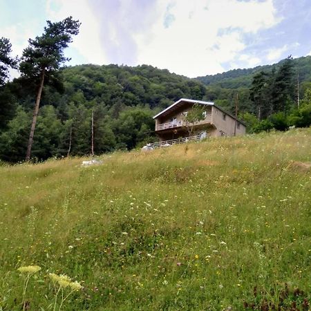 Roshka Guesthouse Gama In Khevsureti מראה חיצוני תמונה