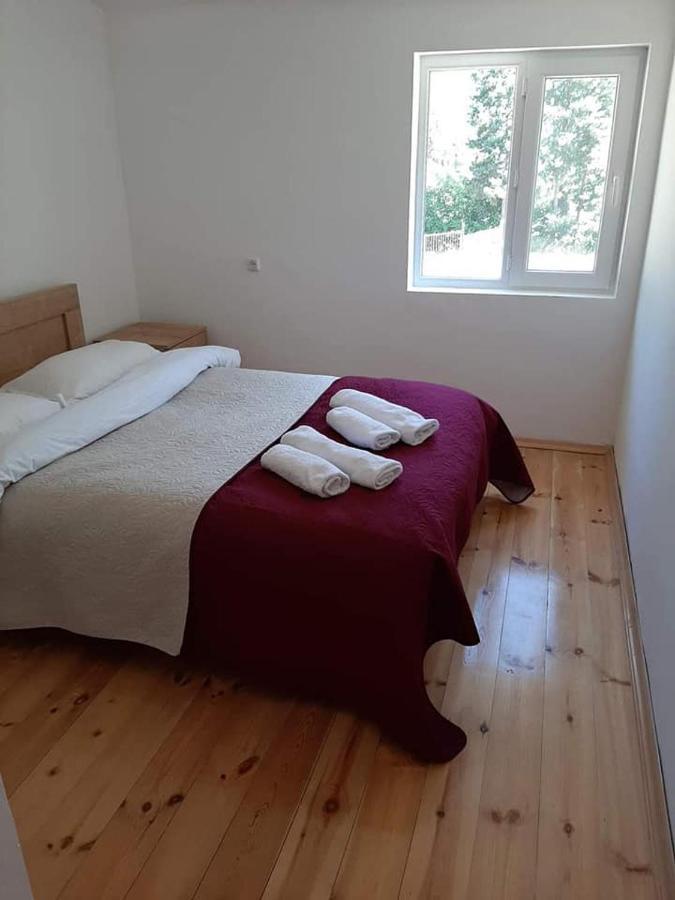 Roshka Guesthouse Gama In Khevsureti מראה חיצוני תמונה