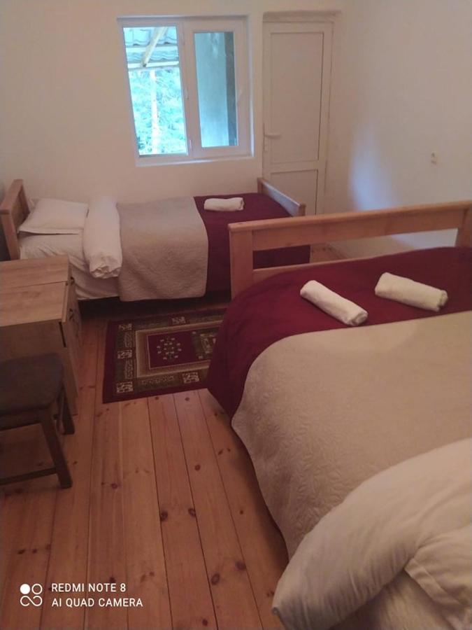 Roshka Guesthouse Gama In Khevsureti מראה חיצוני תמונה