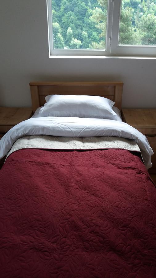 Roshka Guesthouse Gama In Khevsureti מראה חיצוני תמונה