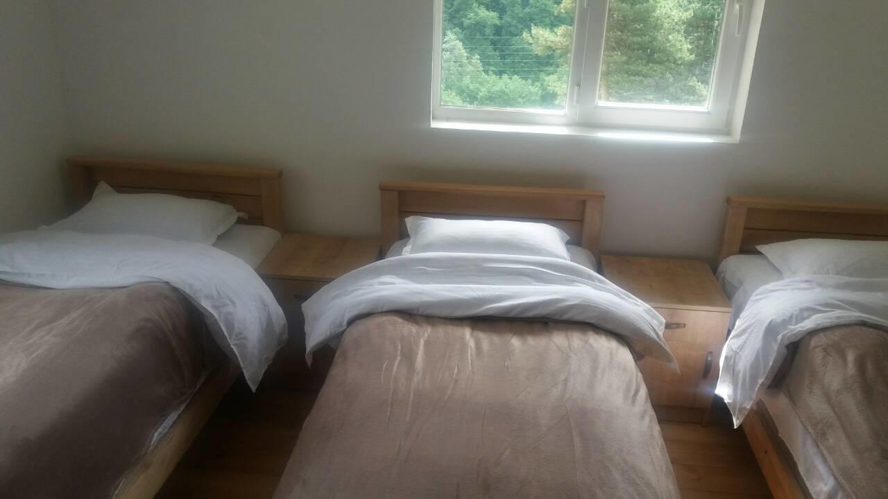 Roshka Guesthouse Gama In Khevsureti מראה חיצוני תמונה