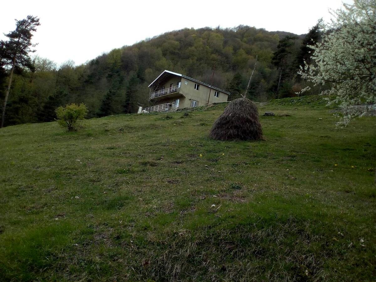 Roshka Guesthouse Gama In Khevsureti מראה חיצוני תמונה