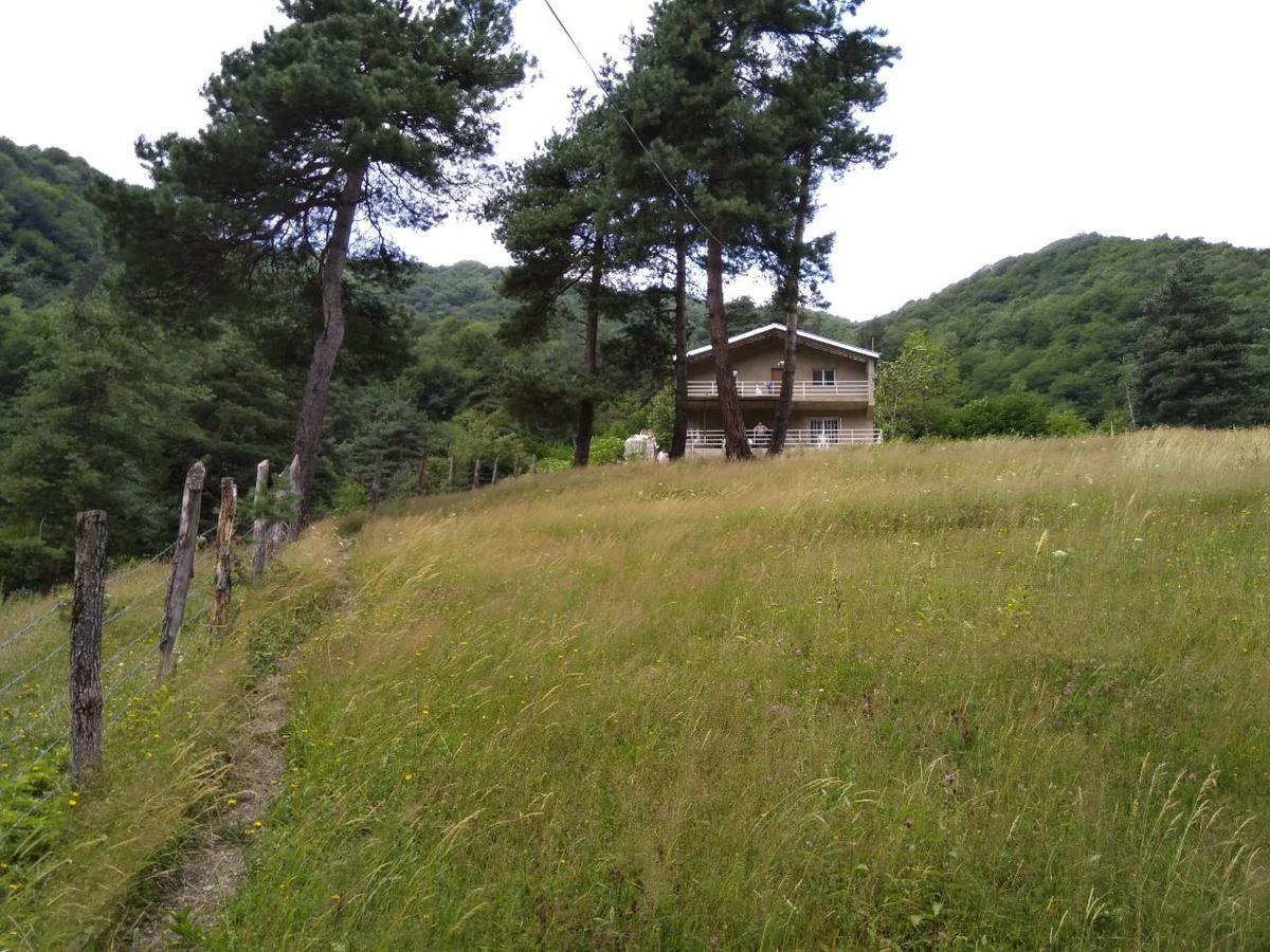Roshka Guesthouse Gama In Khevsureti מראה חיצוני תמונה