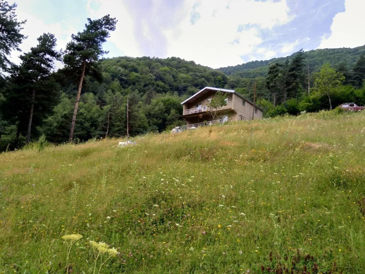 Roshka Guesthouse Gama In Khevsureti מראה חיצוני תמונה